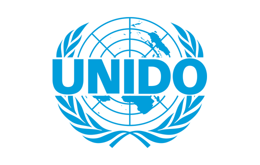UNIDO footwear design certificate held by NABOLY